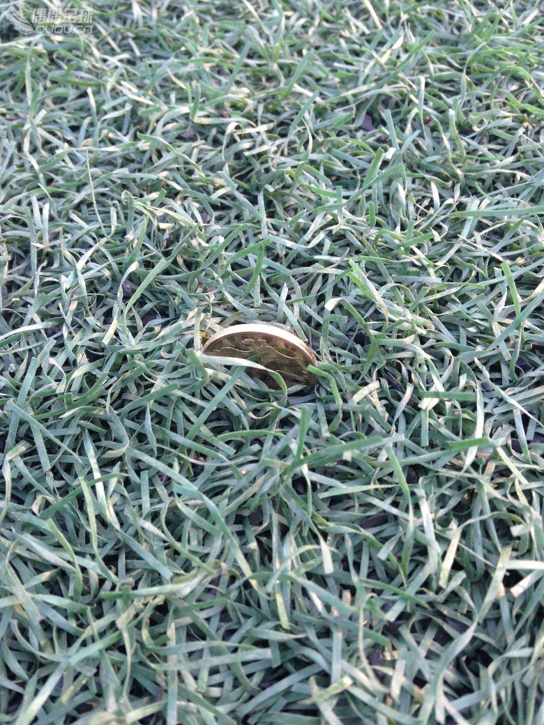 (づ ̄ 3 ̄)づ…adizero F50红龙顶级AG简单测评