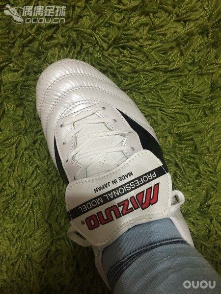 Morelia 2015 P1G150109