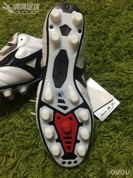 Morelia 2015 P1G150109