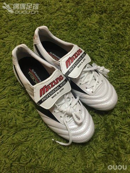 Morelia 2015 P1G150109