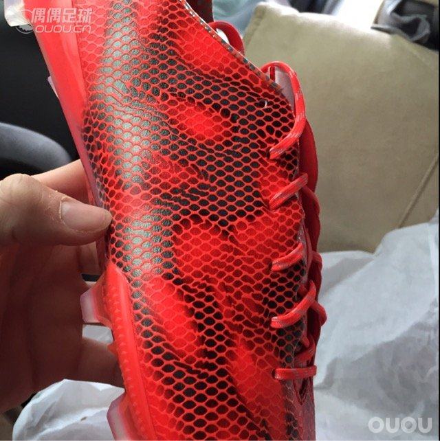 回归第一贴 偶偶我回来了!