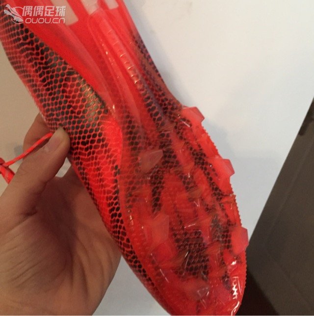 回归第一贴 偶偶我回来了!