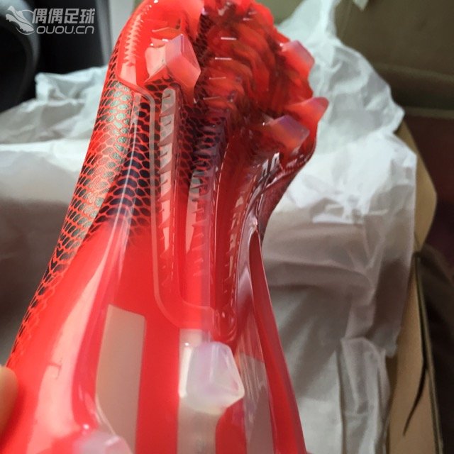 回归第一贴 偶偶我回来了!