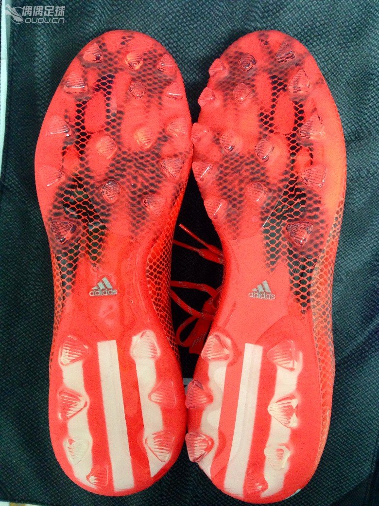 (づ ̄ 3 ̄)づ…最近流行晒红龙,我也来凑个份子…O(∩_∩)O