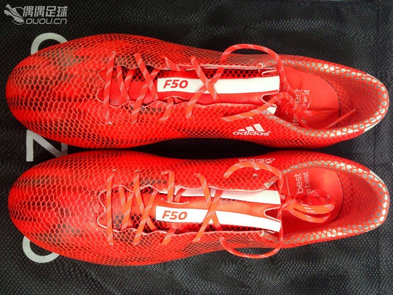 (づ ̄ 3 ̄)づ…最近流行晒红龙,我也来凑个份子…O(∩_∩)O