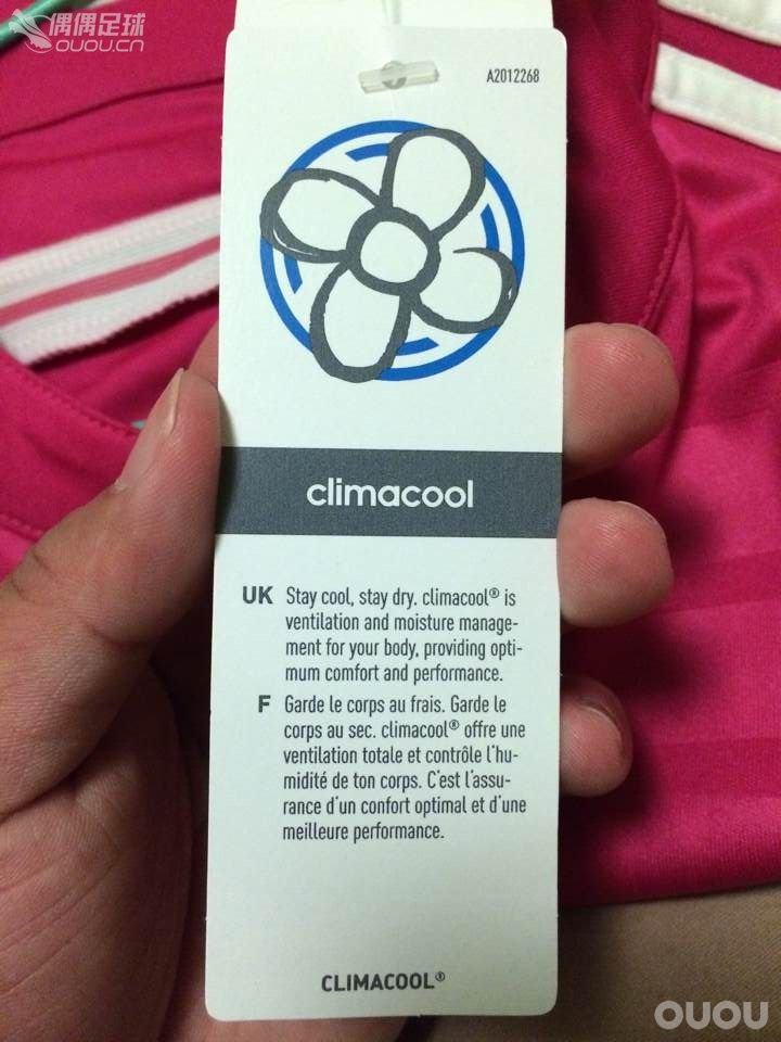 新入粉J罗, 正否?