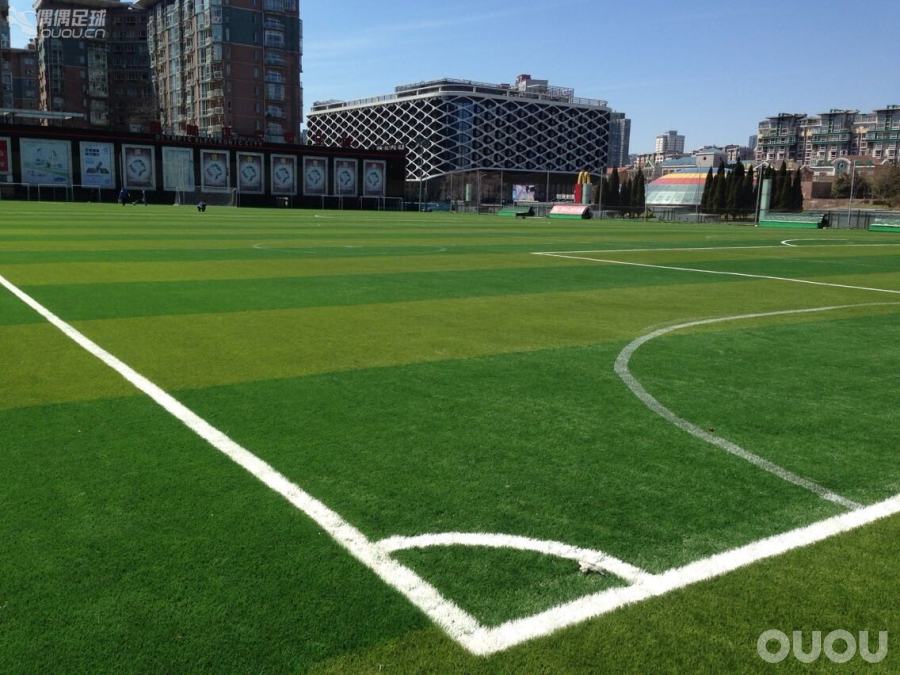 偶偶第十二次草根接力实战评测】第二棒-Adidas Adizero F50 V AG红龙 本命年评测火热红龙