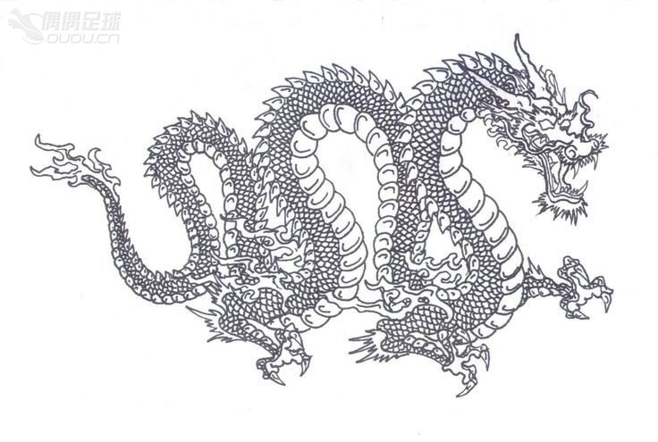 龍 · PUMA evoPOWER 1.2 'Dragon'