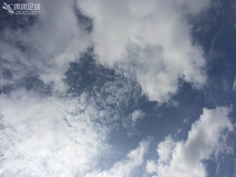 鸳鸯刺客,周日已实战