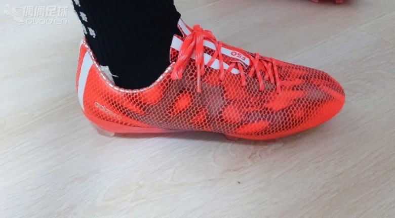 顶级FG红龙,明天准备上人草