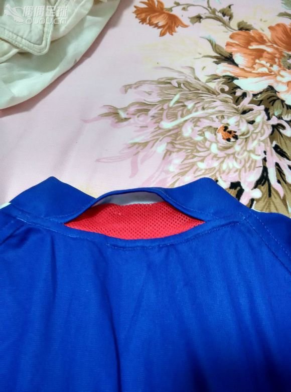 求鉴定2004法国队主场 领标被剪