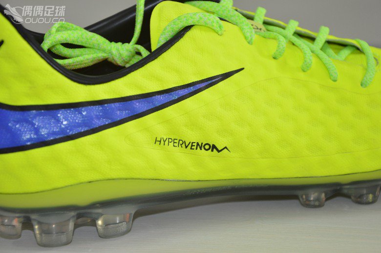 【高次元】伪首发?热浪来袭,致命毒蜂!