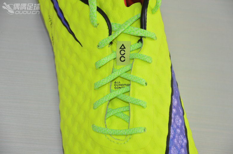 【高次元】伪首发?热浪来袭,致命毒蜂!