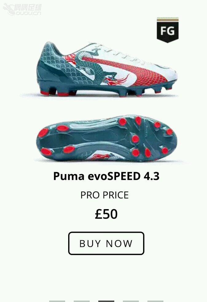 求教puma命名那个JR是什么意思啊