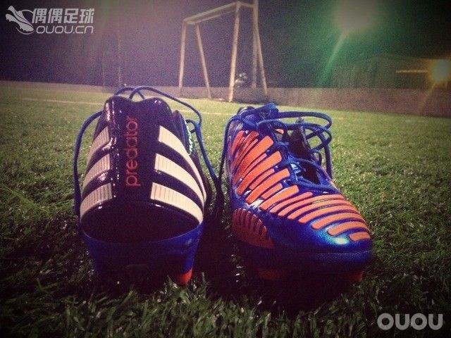 致…终将消失的猎鹰…