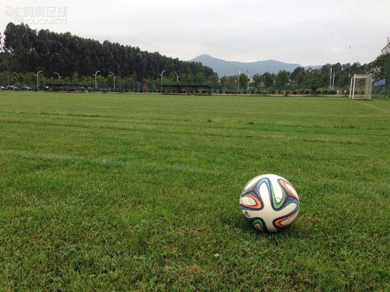 再见,猎鹰,我们的足球青春