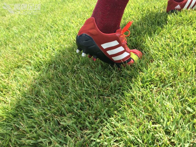 三双SG球鞋小评。