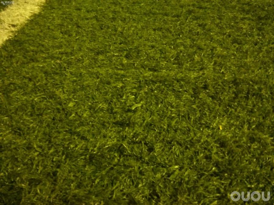 【偶偶第十四次草根接力实战评测】第二棒Nike 鬼牌X Proximo TF 奔跑吧-麻吉斯塔