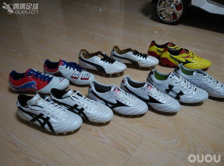 本命年的足球狗 继续自己的快乐足球!