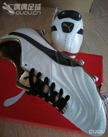 本命年的足球狗 继续自己的快乐足球!