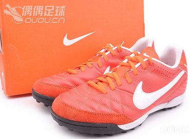 本命年的足球狗 继续自己的快乐足球!