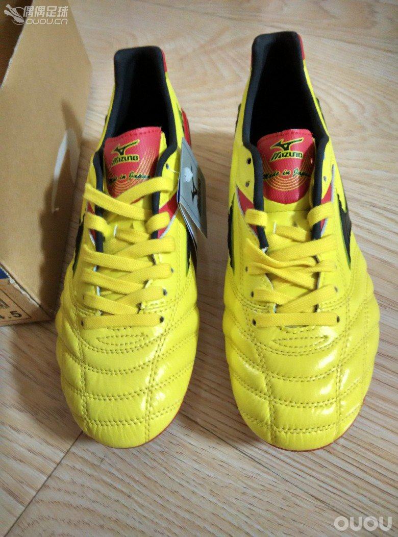 本命年的足球狗 继续自己的快乐足球!