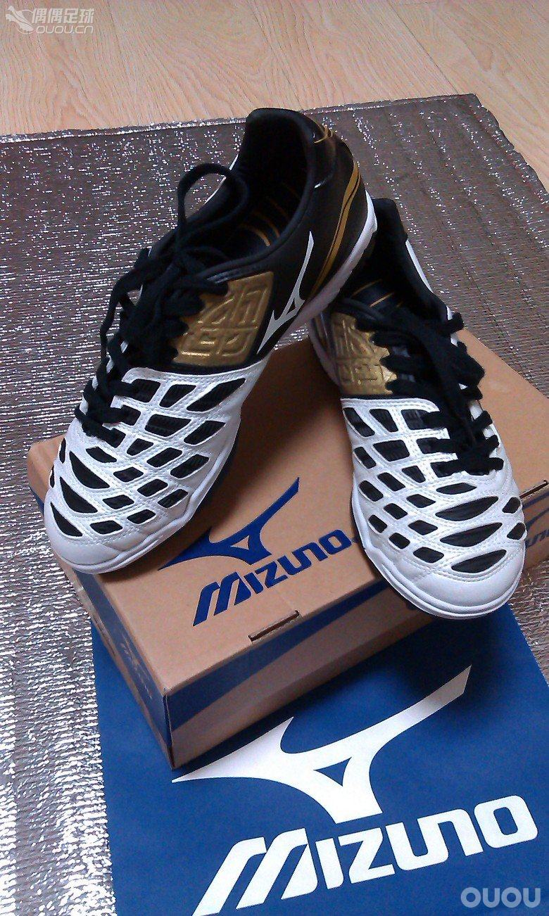 本命年的足球狗 继续自己的快乐足球!