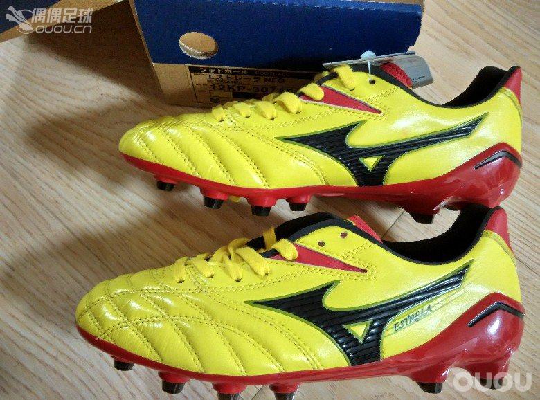 本命年的足球狗 继续自己的快乐足球!