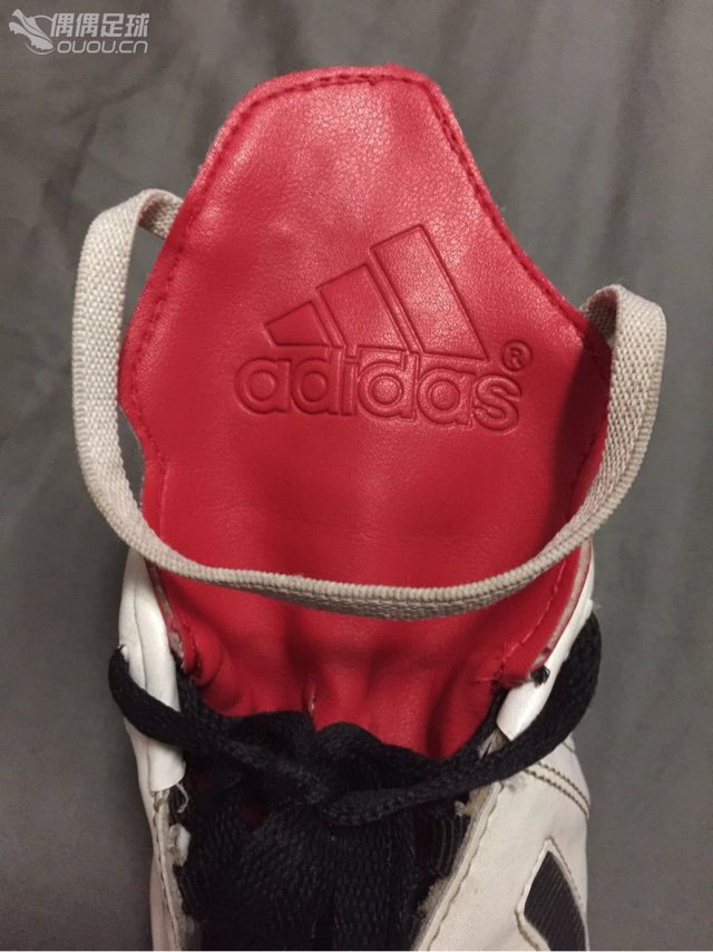 永远的阿根廷小将萨内蒂