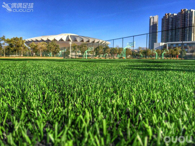 毒蜂2 Nike Hypervenom II ID开箱及测评 少图多字慎点!!