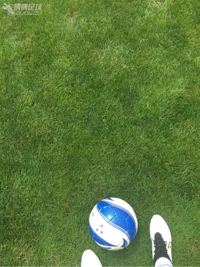 三张流~~~ 今天惊现版主小满的熊亲临七号场现场指导并出战上半场,对手望风而逃内讧不断。