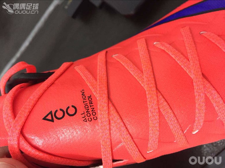 新入刺客10顶级,各位大神帮忙看看真不真