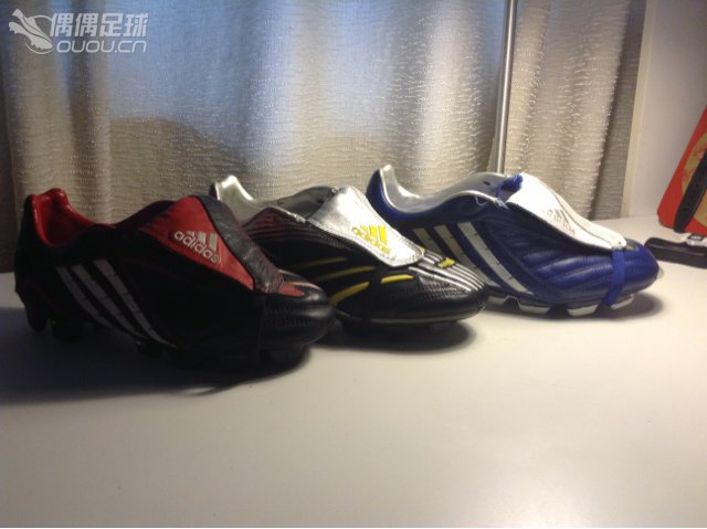 来了个新成员。最爱的猎鹰只是因为外侧。