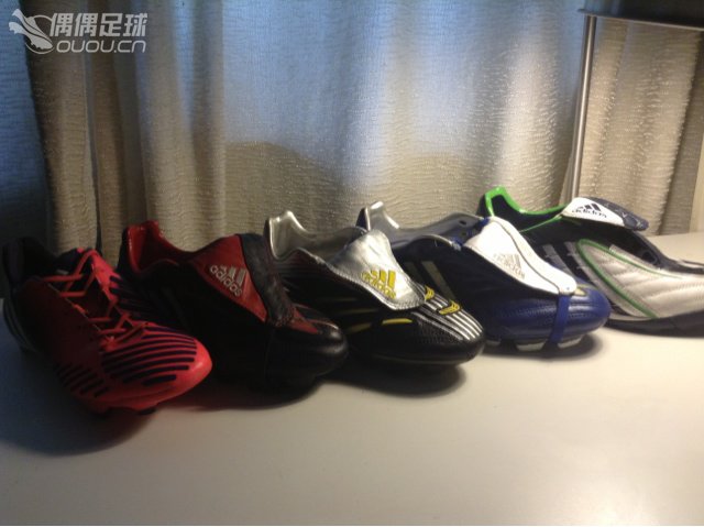 来了个新成员。最爱的猎鹰只是因为外侧。