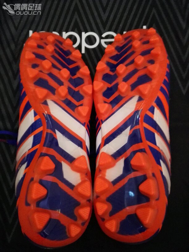 独爱猎鹰,人生中第一双顶级,求鉴定。。。