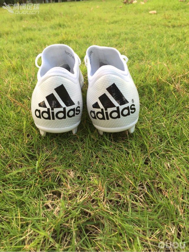 今天刚到,草地上随便拍了几张,真不忍心下地!