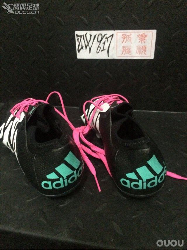 小猫乱入 无视他。