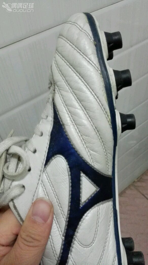 请大神帮忙看下是什么东西,是袋鼠皮的吗?