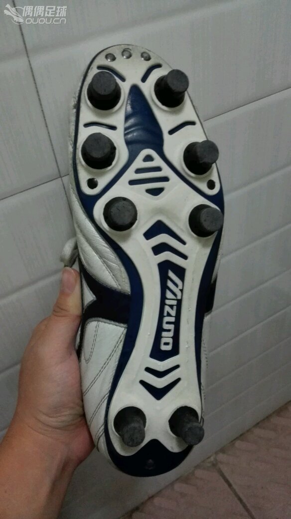 请大神帮忙看下是什么东西,是袋鼠皮的吗?