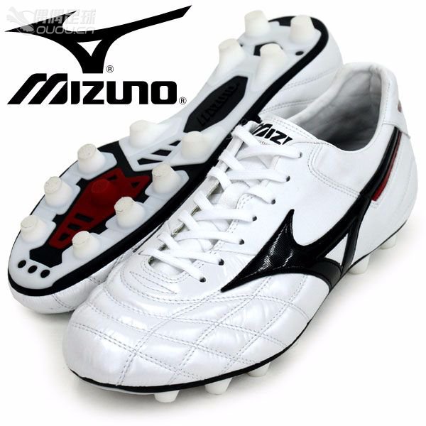 Morelia的進化:M2, Wave2, Neo