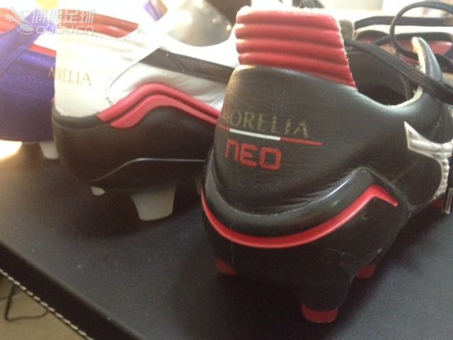 Morelia的進化:M2, Wave2, Neo