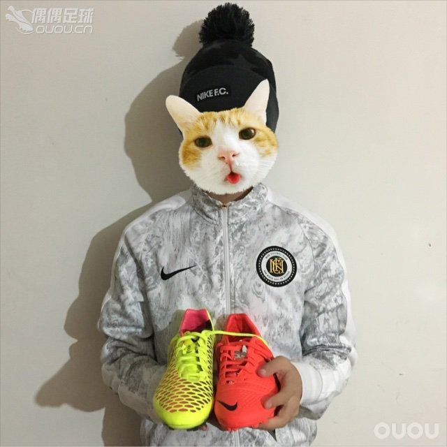 新到手的战靴,都很漂亮,期待实战。