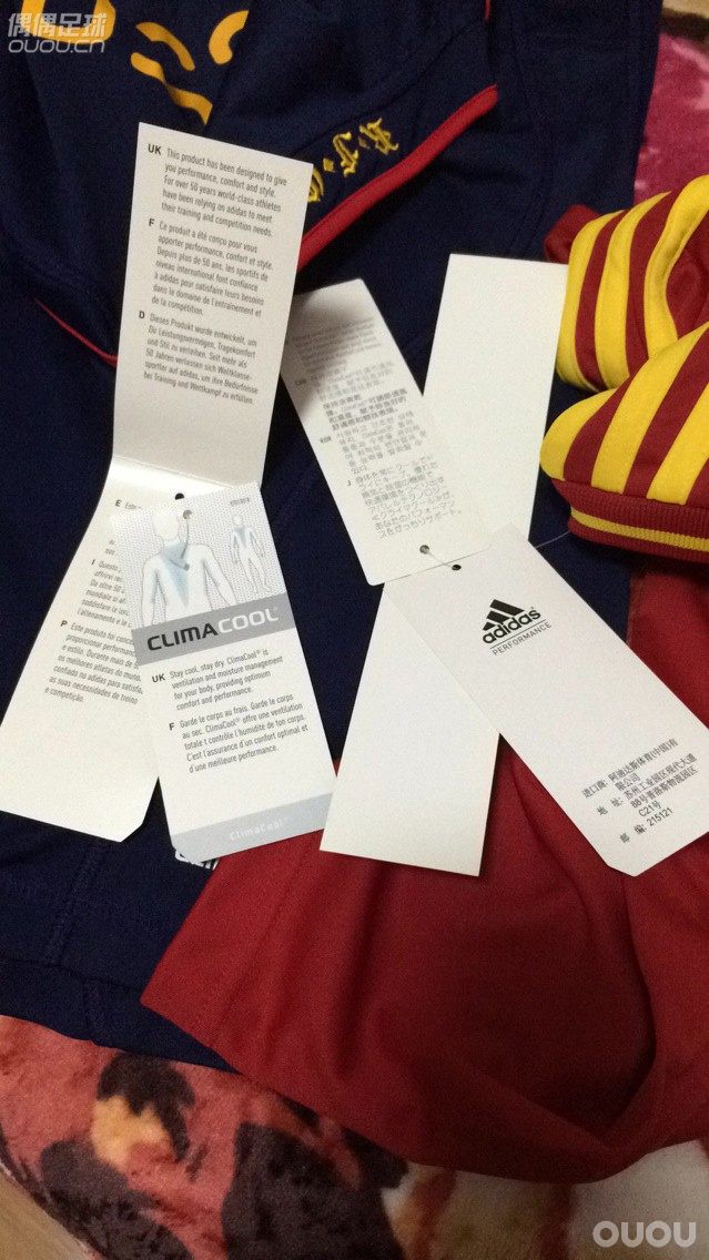 大神来看看,10世界杯决赛西班牙客场球迷版