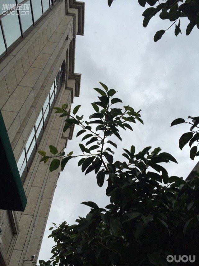 激动不已,森岛开箱2016年1月1日 昆明 小雨