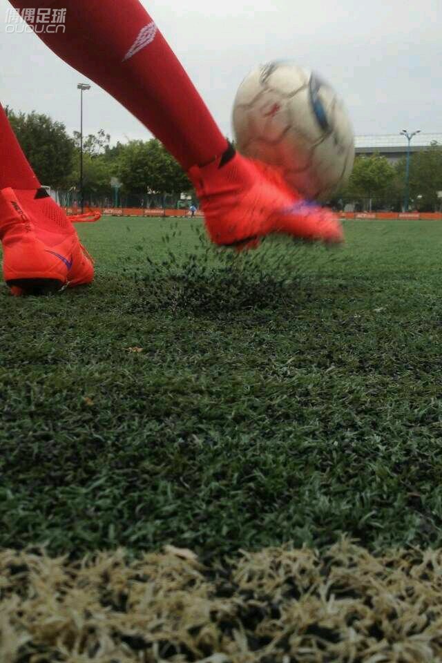 新入的一双刺客,骚!