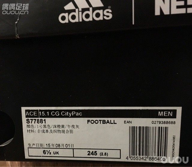 ACE15.1CG CityPac入手