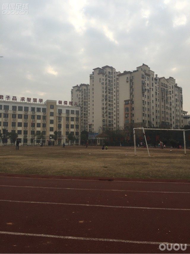 全家福,?忙着带崽,没球踢??