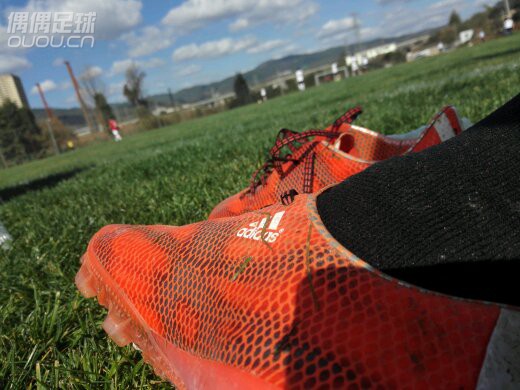 新年新气象,晒晒自己的鞋子们。本人实战派,鞋子都下过地,新旧不一,有些没打理干净。大家凑合看看。