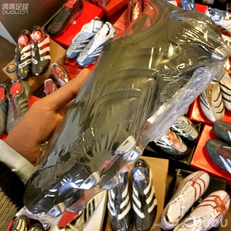 新年大扫除 来几双猎鹰 无字