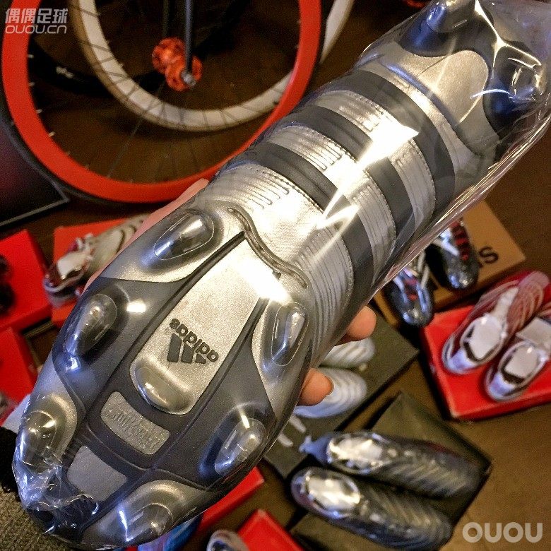 新年大扫除 来几双猎鹰 无字